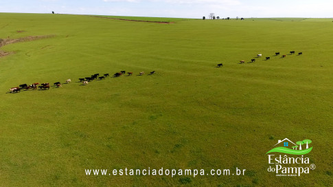 IMAGEM FIXA NA COXILHA.00_00_22_12.Quadro004_6bad8349114c425352e25ae87cef558816b8ab70.jpg